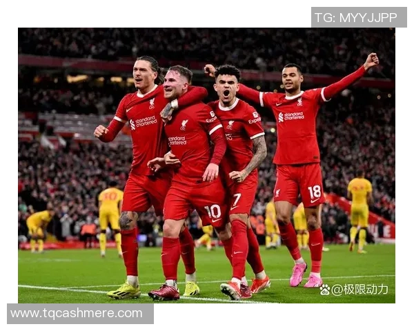 莱斯特城对阵利物浦直播地址及观看指南分享