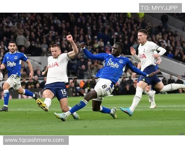 2019年英超精彩对决埃弗顿主场迎战伯恩利全场回顾与精彩瞬间分析