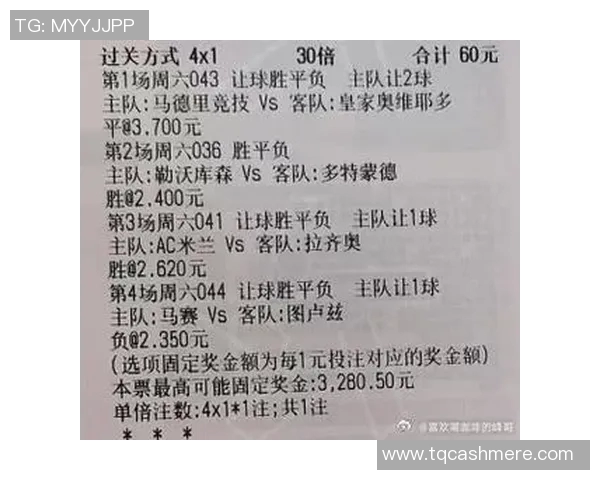 AC米兰与多特蒙德巅峰对决精彩回顾与战术分析