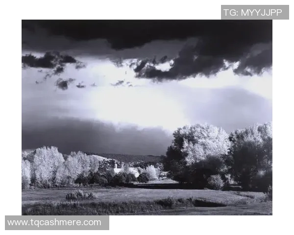 亚当斯的传奇人生与时代变迁的深刻影响探索 亚当斯的传奇人生与时代变迁的深刻影响探索