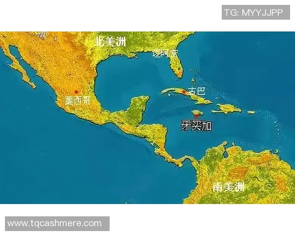 墨西哥与牙买加贸易量分析及其对两国经济影响探讨