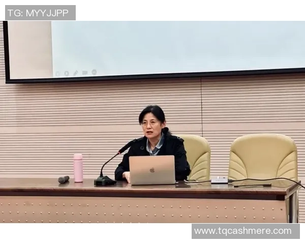 张帆：在风雨中扬帆起航，探索人生的无限可能与梦想的实现之路