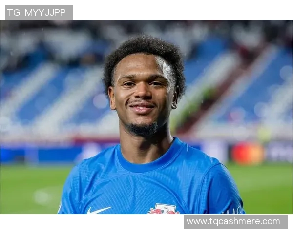 探索奥蓬达的魅力与历史深度，揭示其在当代文化中的重要地位与影响