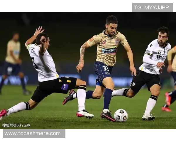 悉尼足球队迎战纽喷射机全力争胜激烈对决即将上演