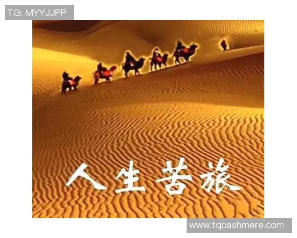 景菡一的成长之路：从平凡到卓越的心灵旅程与人生启示