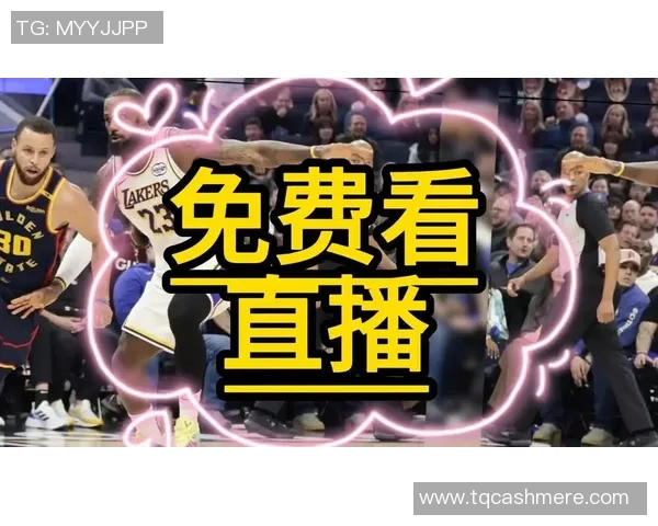 湖人对勇士精彩对决直播网址推荐及观看指南