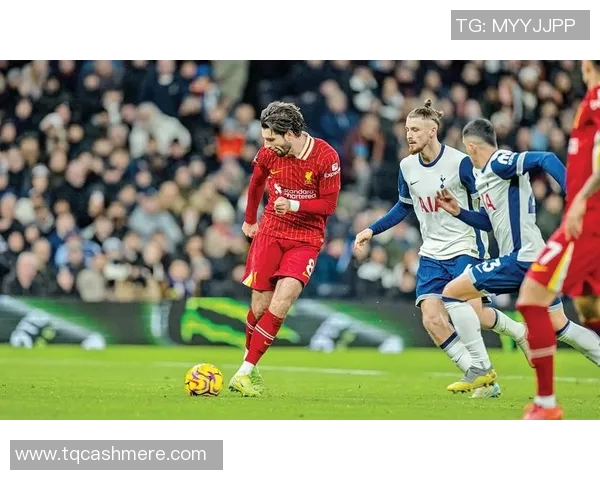 热刺与利物浦半全场对决分析及赛前预测展望