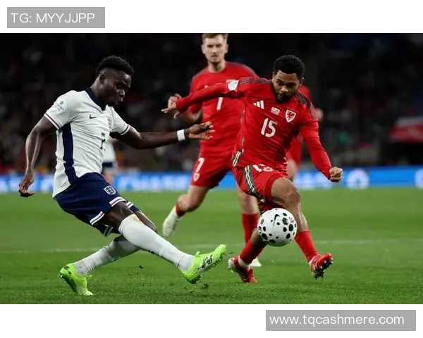 2013年英格兰与德国足球友谊赛精彩回顾与赛后分析