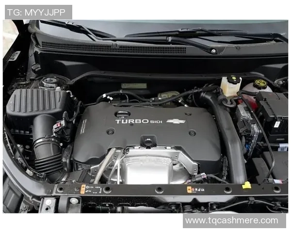 布里前锋与墨尔本城激战正酣谁能在这场对决中笑到最后