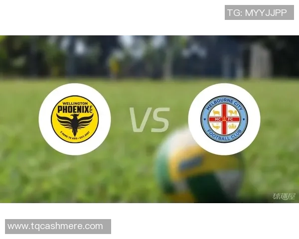惠灵顿凤凰主场迎战墨尔本胜利期待激烈对决与精彩表现