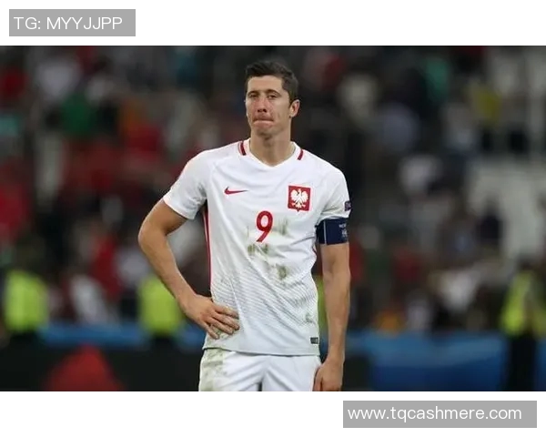 荷兰与西班牙下半场精彩对决分析与战术解读