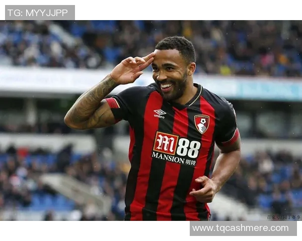 伯恩茅斯主场迎战巴恩斯利期待精彩对决与进球盛宴 伯恩茅斯主场迎战巴恩斯利期待精彩对决与进球盛宴