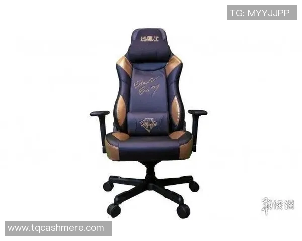 提升游戏体验的电竞椅推荐DOTA2装备选购指南