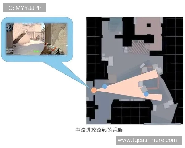 杭州排球队的整体压制解析与战术深度探讨