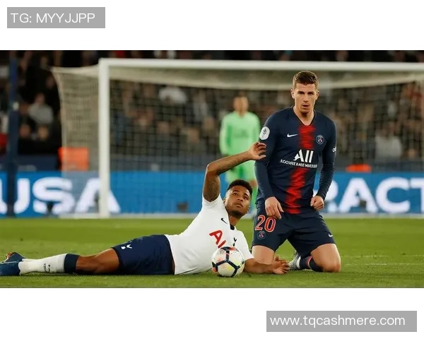 热刺与央视网的精彩对决分析与赛事回顾，球迷热情高涨的背后故事