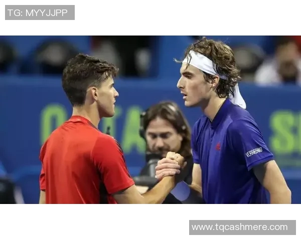 维也纳快速与哈特贝格的精彩对决分析与赛季展望