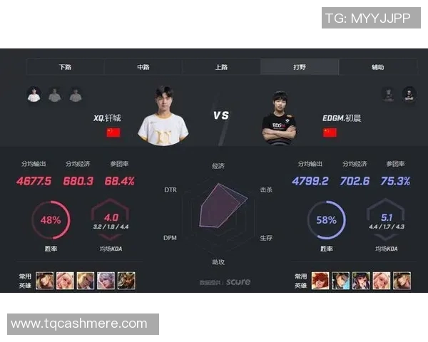 EDG战队在王者荣耀中的心理素质提升与团队协作的深度剖析