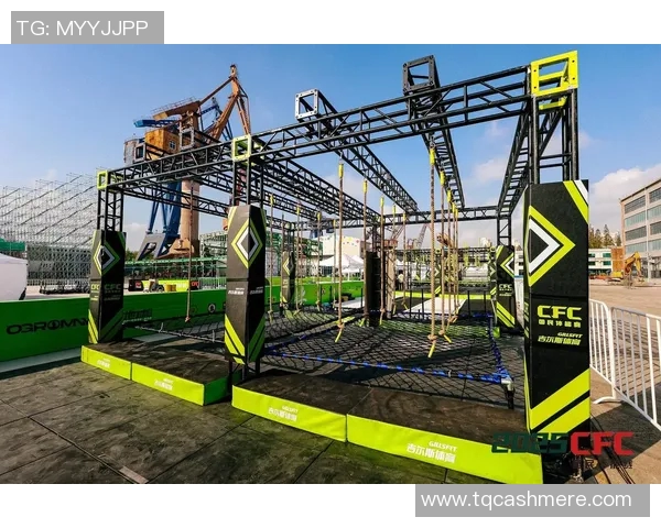 上海极限运动队速度对比深度解析与各队表现评估